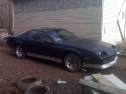 Z28